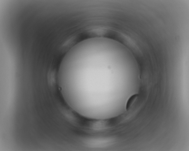 X0000114440122200910231326