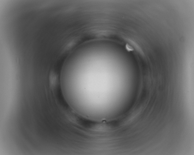 X0000114440123200910231326