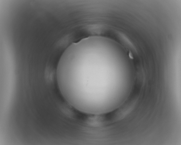 X0000114440125200910231326