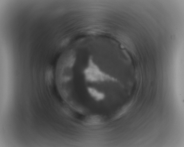 X0000114440127200910231326