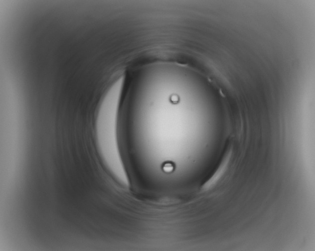 X0000114440128200910231326