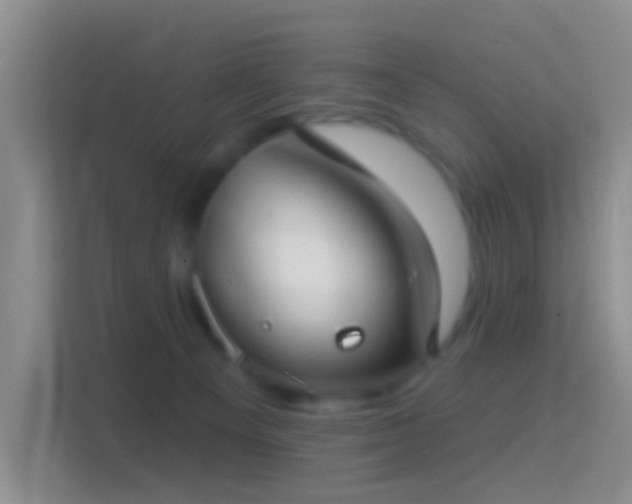 X0000114440129200910231326