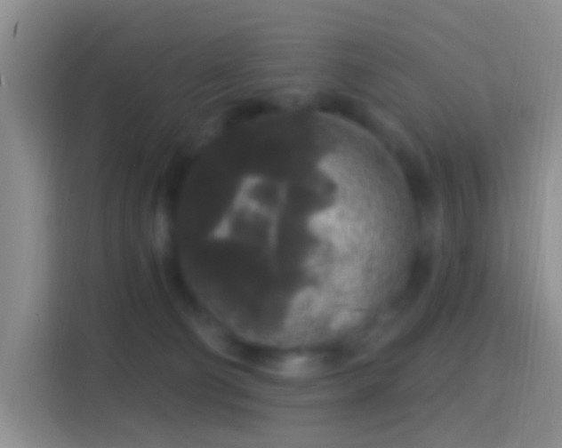 X0000114440130200910231326