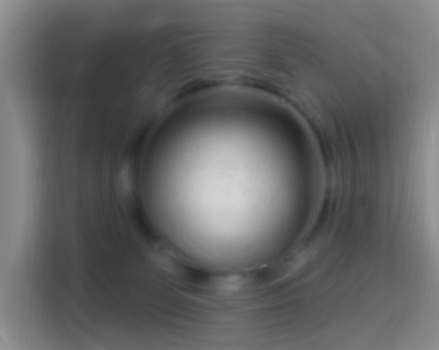 X0000114440131200910231326