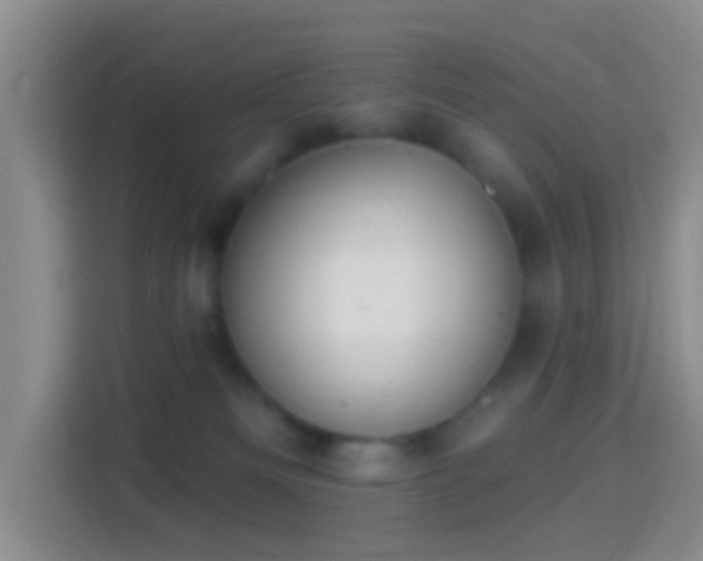 X0000114440133200910231326