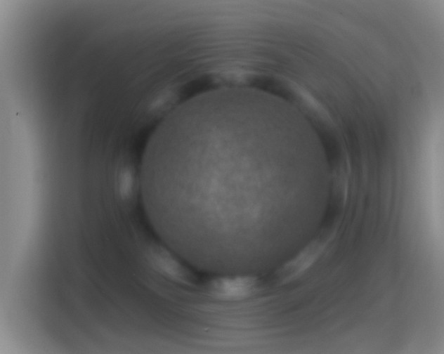 X0000114440134200910231326