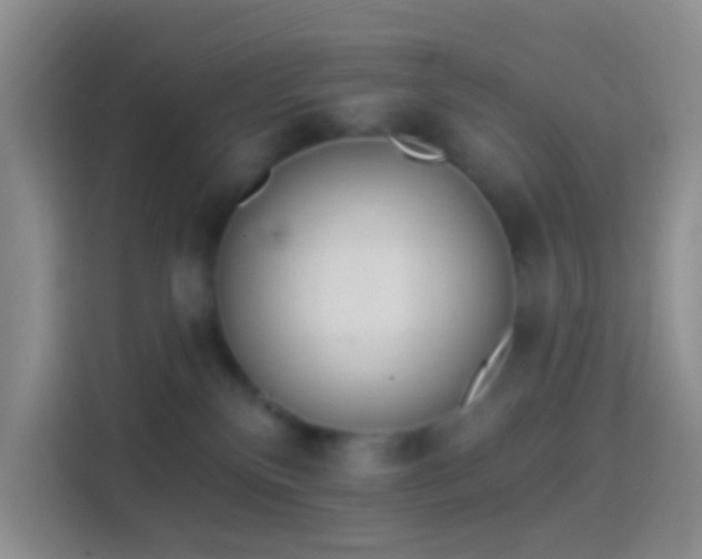 X0000114440136200910231326