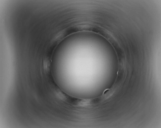 X0000114440138200910231326