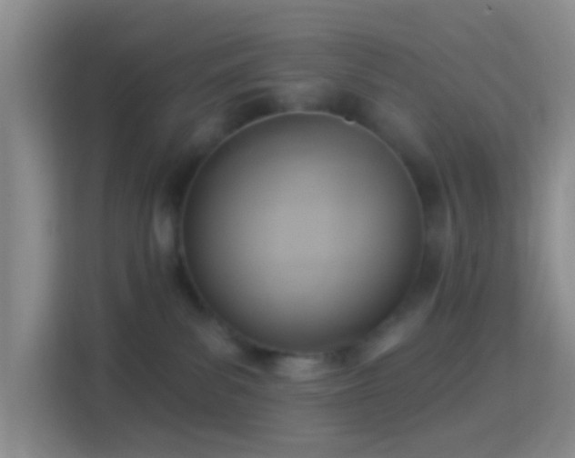 X0000114440139200910231326