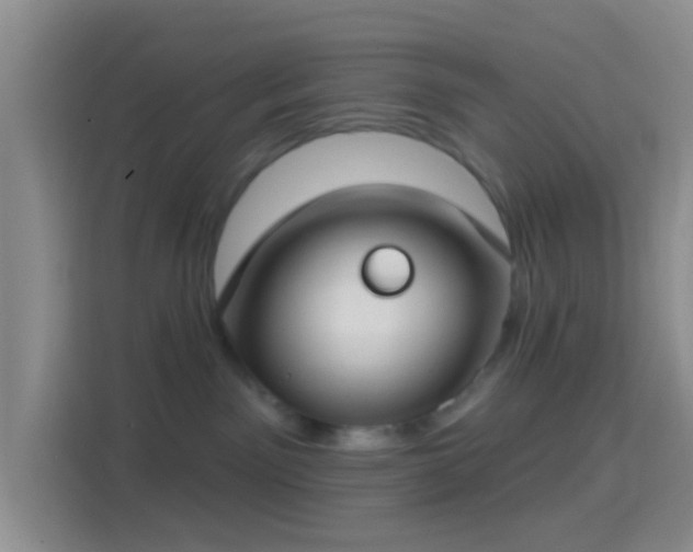 X0000114440141200910231326