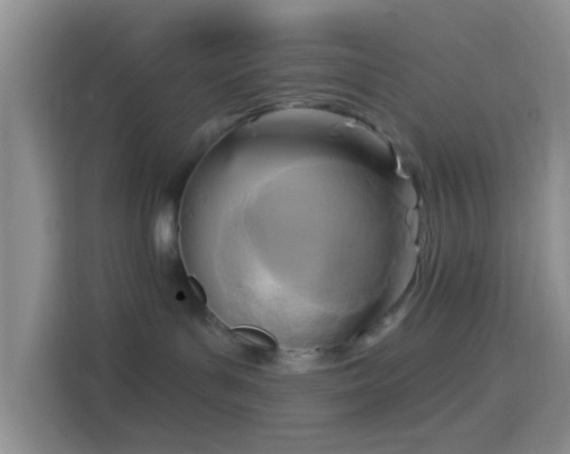 X0000114440143200910231325