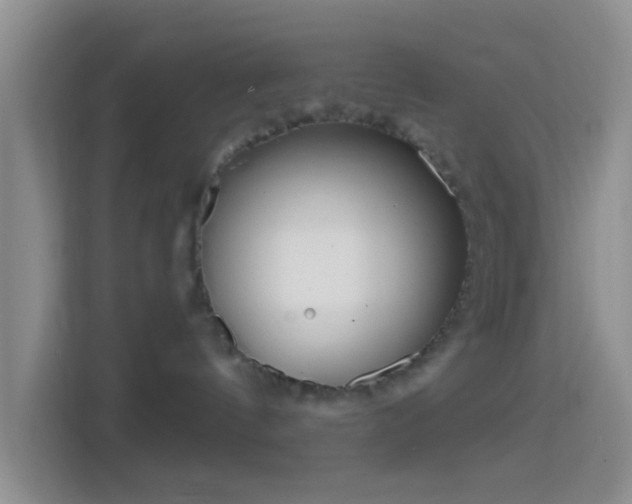 X0000114440144200910231325