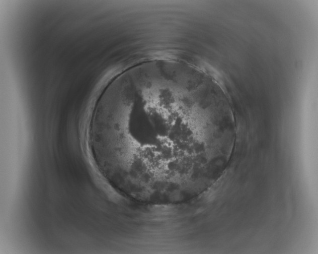 X0000114440145200910231325