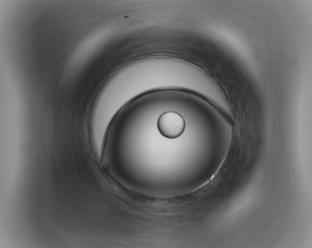 X0000114440146200910231325