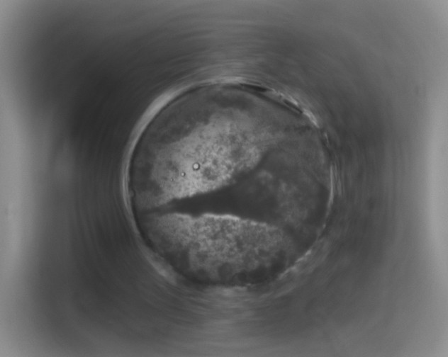 X0000114440147200910231325