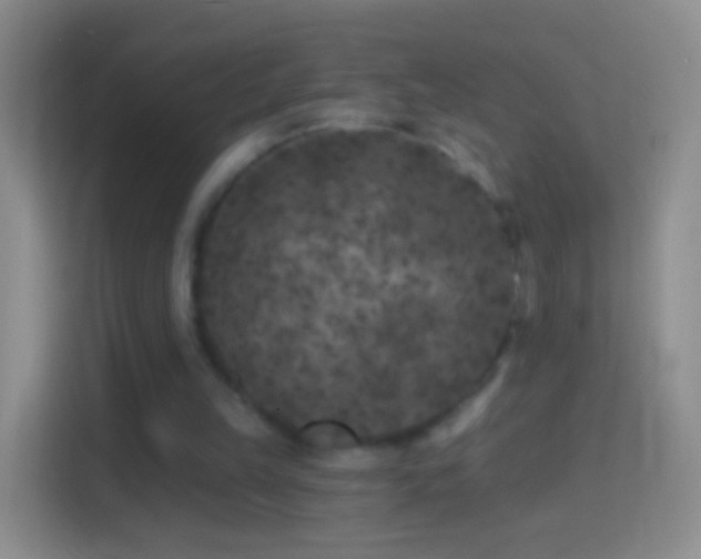 X0000114440149200910231325