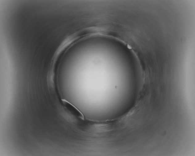 X0000114440150200910231325