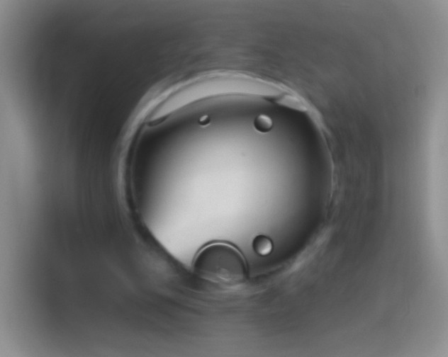 X0000114440151200910231325