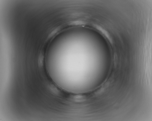 X0000114440153200910231325