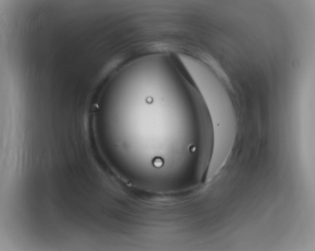 X0000114440154200910231325