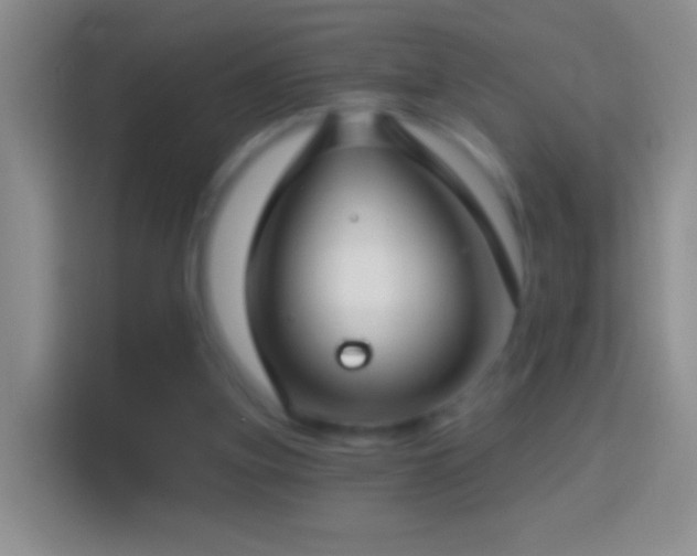 X0000114440155200910231325