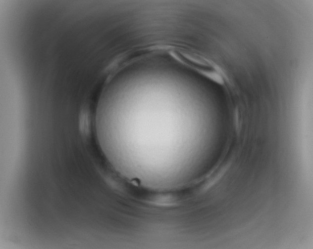 X0000114440157200910231325