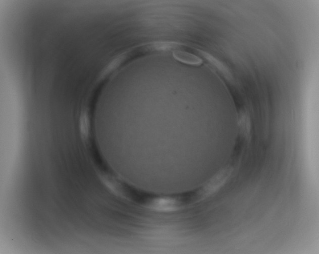 X0000114440158200910231325