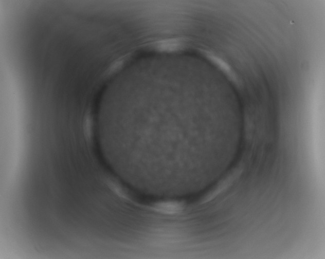 X0000114440161200910231325