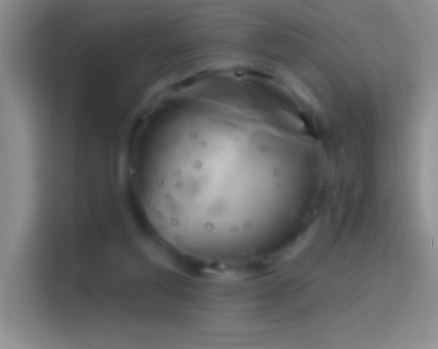 X0000114440163200910231325