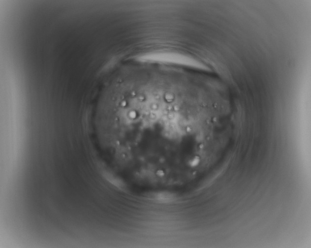 X0000114440165200910231325