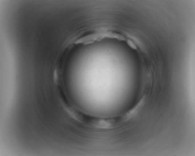 X0000114440166200910231325