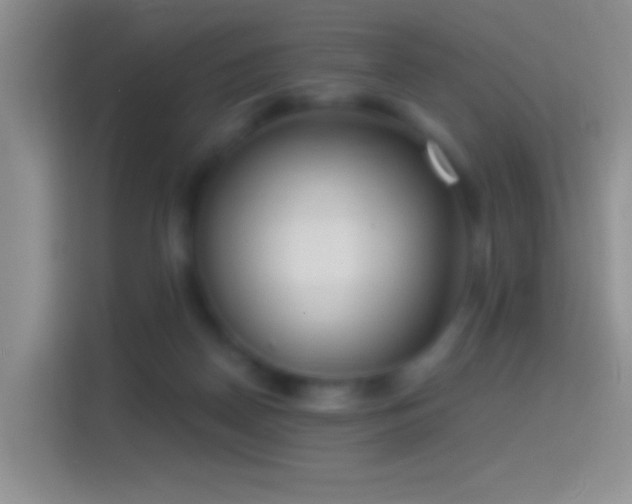 X0000114440170200910231325