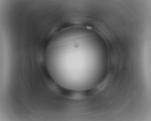 X0000114440175200910231325