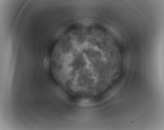 X0000114440177200910231325