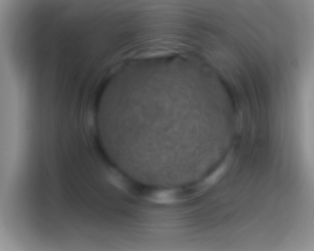 X0000114440178200910231325