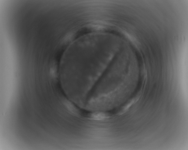 X0000114440181200910231325