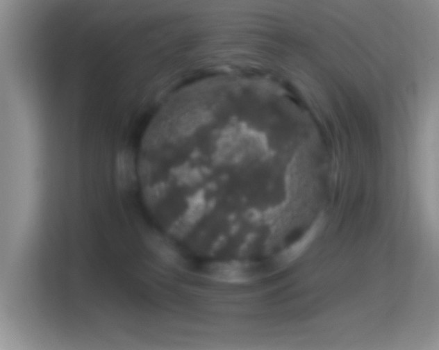 X0000114440182200910231325