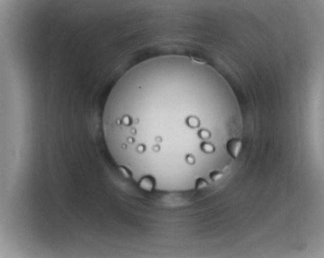 X0000114440183200910231325