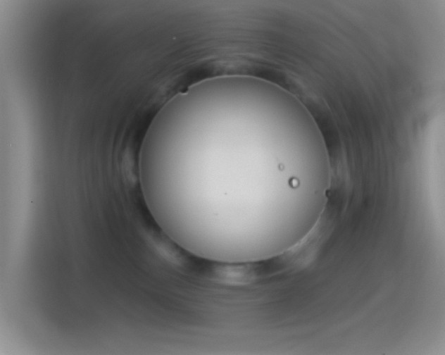 X0000114440187200910231325