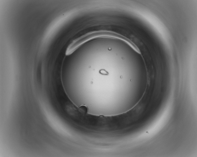 X0000114440190200910231325