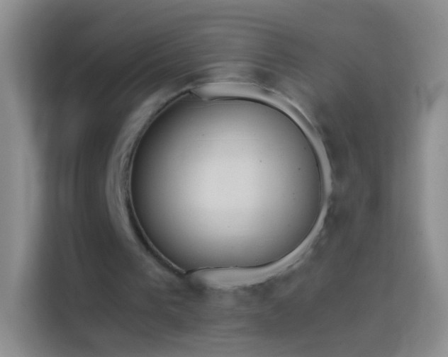 X0000114440193200910231325