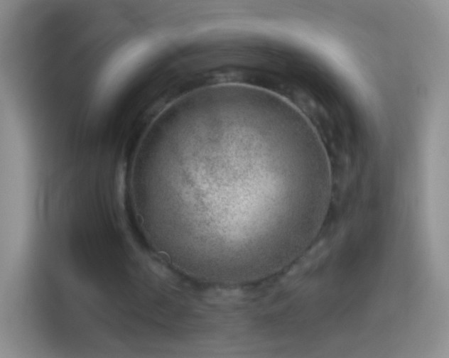 X0000114440194200910231325