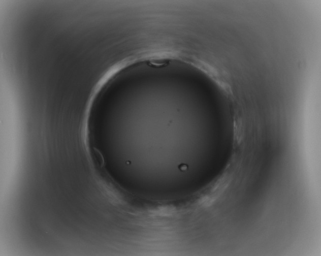 X0000114440196200910231325