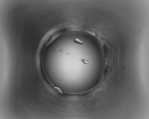 X0000114440197200910231325