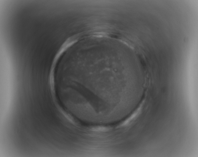 X0000114440198200910231325