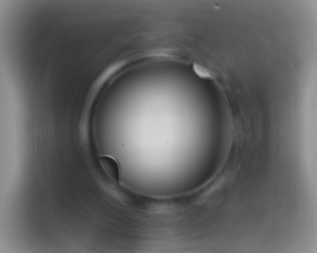 X0000114440200200910231325