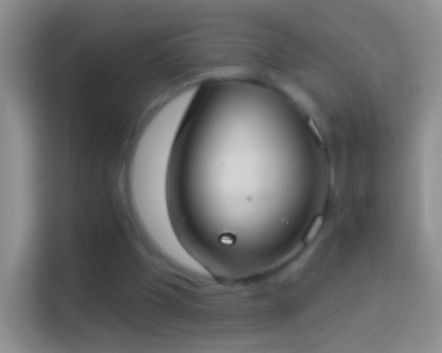 X0000114440201200910231325