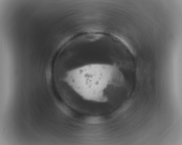 X0000114440202200910231325