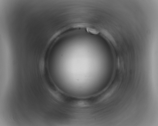 X0000114440204200910231325