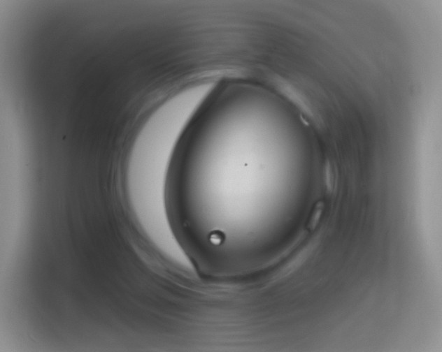 X0000114440205200910231325